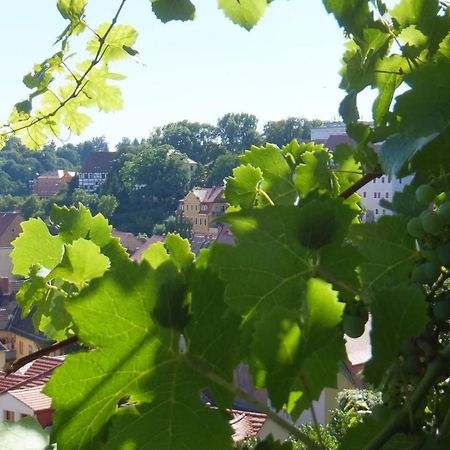 Hotel Schlossberg Meißen Zewnętrze zdjęcie
