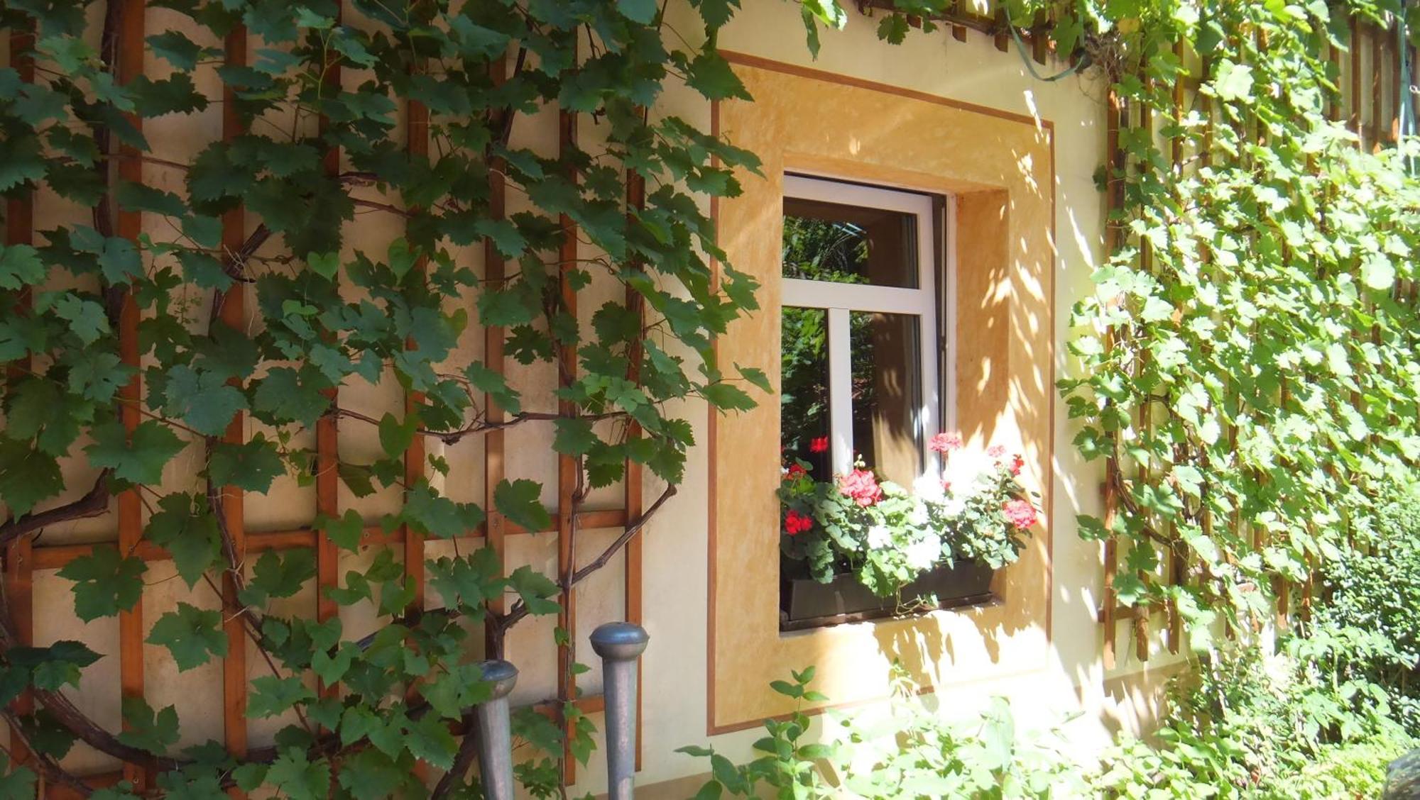 Hotel Schlossberg Meißen Zewnętrze zdjęcie